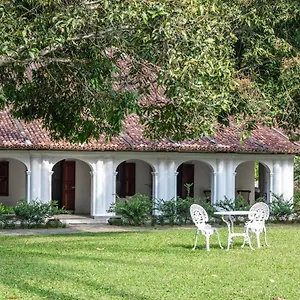 Otel Adigars Manor Kandy